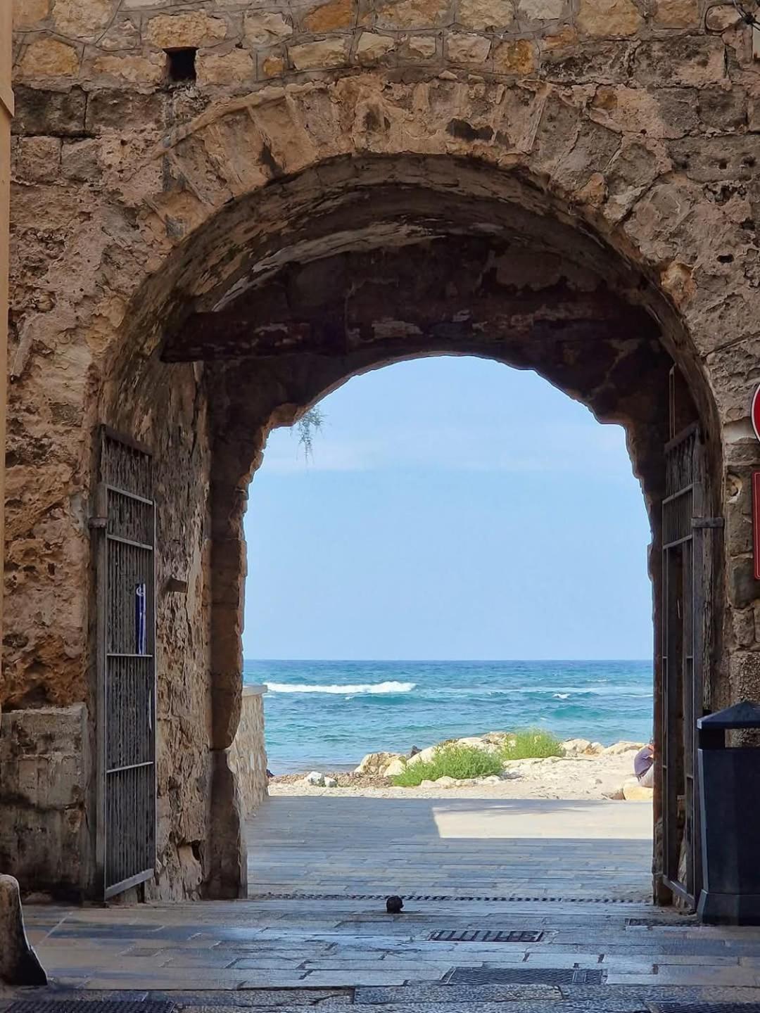 דירות טרפאני La Casa Di Paoletta A Due Passi Dal Mare מראה חיצוני תמונה